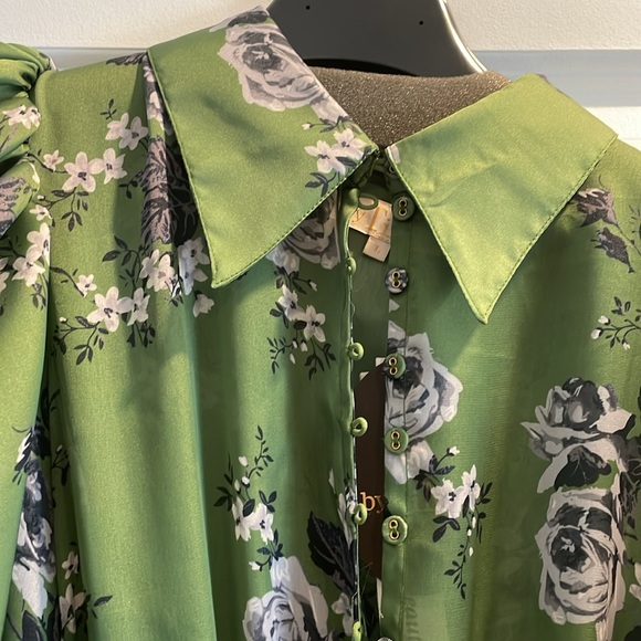 By Timo pleated Dress. Size Large. Brand new. Green Roses - Picture 5 of 9